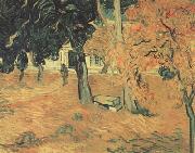Vincent Van Gogh The Garden of Saint-Paul Hospital (nn04) Germany oil painting reproduction